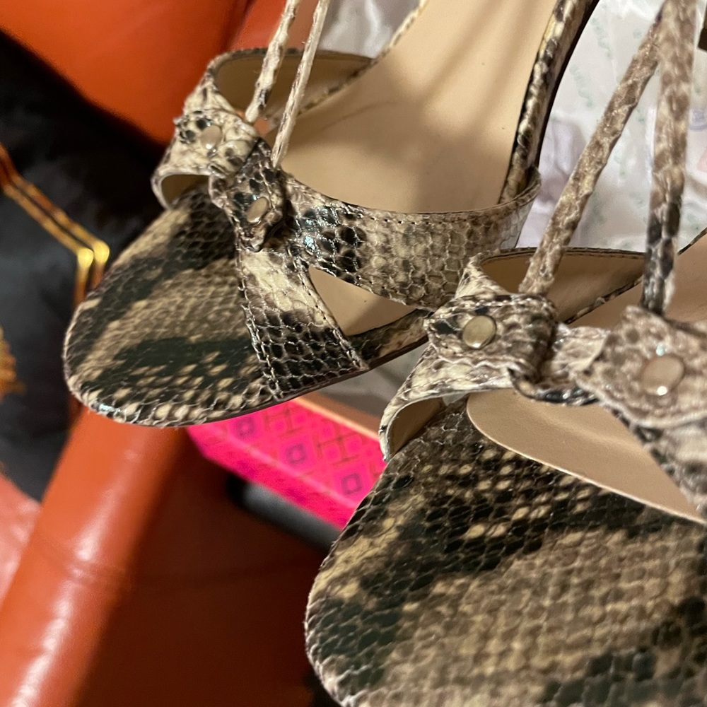 🔥Snake 🐍 Skin Shoes - Picture 4 of 8